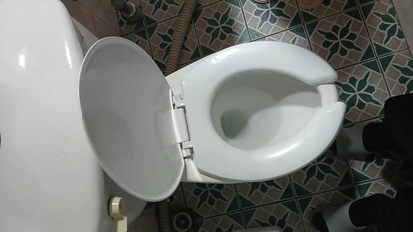 신정동 빌라 화장실에서 물이 빠지지 않고 차오른 변기